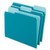 Interior File Folders, 1/3-Cut Tabs: Assorted, Letter Size, Teal, 100/Box [SKU: PFX421013TEA]