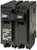 Square D Homeline HOM250CP Circuit Breaker, Mini, 50 A, 2 -Pole, 120/240 V, Fixed Trip, Plug Mounting, Black [SKU: ORG6721369]