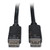 DisplayPort to DisplayPort Cable 4K with Latches, 10 ft, Black [SKU: TRPP580010]