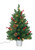 Hometown Holidays 49724 Christmas Specialty Decoration, 24 in H, Trees, 100% PVC, Green, Tungsten Bulb [SKU: ORG8927808]