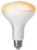 Feit Electric BR30/927CA/AG Smart Bulb, 8 W, Wi-Fi Connectivity: 2.4 GHz, Mobile App/Voice Commands Control [SKU: ORG9989492]