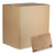 Evertec Curbside Recyclable Padded Mailer, #2, Kraft Paper, Self-Adhesive Closure, 12 X 9, Brown, 100/Carton [SKU: PGS4083814]