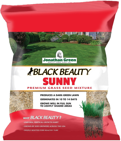 Jonathan Green Black Beauty 10895 Grass Seed, 1 lb Bag [SKU: ORG7531841]