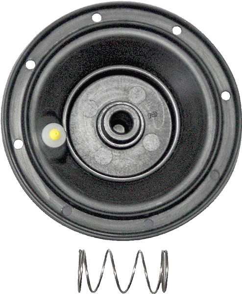 Rain Bird DRKJTVCP Diaphragm Repair Kit, For: RAINBIRD JTV, JTV/AS and JTV/ASF Jar Top Valves [SKU: ORG3827839]