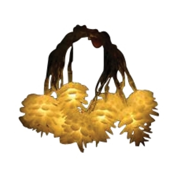 Hometown Holidays 19323 Pinecone Light Set, LED Bulb [SKU: ORG3430279]