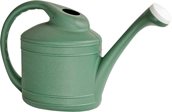 Southern Patio WC8108FE Watering Can, 2 gal Can, Resin, Fern [SKU: ORG3310737]