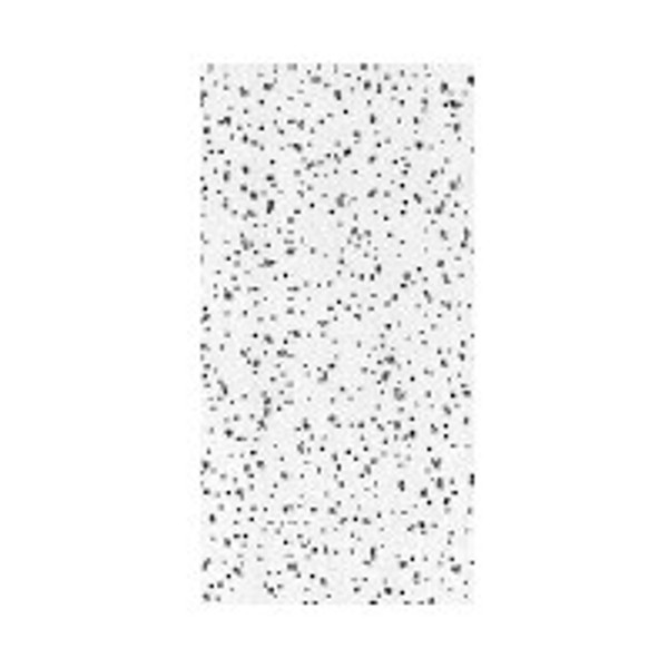 USG R2310/290 Ceiling Panel, 4 ft L, 2 ft W, 5/8 in Thick, Fiberboard, White [SKU: ORG6938781]