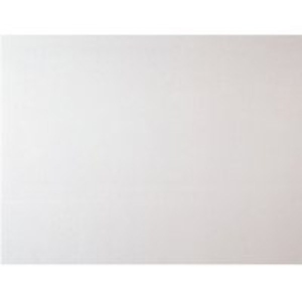 CEILIN PNL 2X4X9/16IN STNHURST [SKU: ORG5943733]