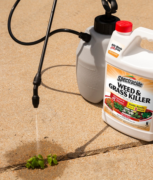 Spectracide HG-96620 Concentrated Weed and Grass Killer, Liquid, Spray Application, 1 gal [SKU: ORG7348584]