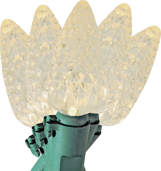Hometown Holidays 09528 String Light, 25-Lamp, LED Lamp [SKU: ORG0507822]
