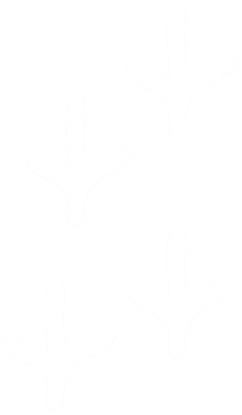 REALTREE SDE5301 Decal, Contour-Cut Turkey Track, White Legend, Vinyl Adhesive [SKU: ORG9034729]