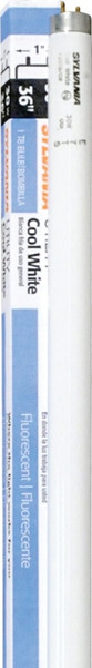 Sylvania 23121 Fluorescent Bulb, 30 W, T8 Lamp, Medium Lamp Base, 1897 Lumens, 4200 K Color Temp, Cool White Light [SKU: ORG1425180]