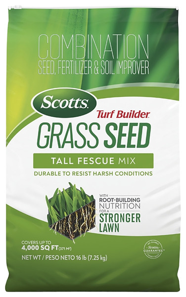 SEED GRASS TALL FESCUE 16LB [SKU: ORG5535083]