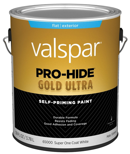 PAINT EXT FLAT SUPR ONE CT WHT [SKU: ORG2017184]