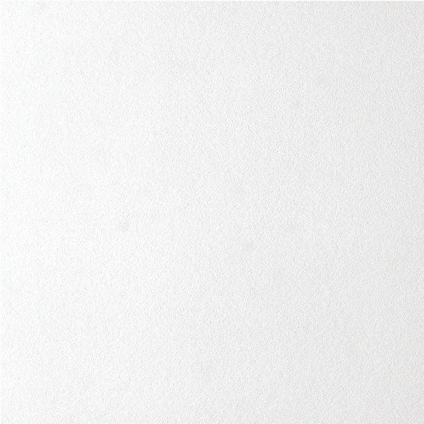 USG 4290 Ceiling Tile, 12 in L, 12 in W, Custom Pattern, Staple Flange Edge, Wood, White [SKU: ORG6939045]