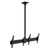 ATDEC Black ADBS-2X1-12TC ceiling mount for 2x1 digital menu boards with tilting mechanism for portrait displays. ATDEC Black ADBS-2X1-12TC ceiling mount for 2x1 digital menu boards with tilting mechanism for portrait displays.