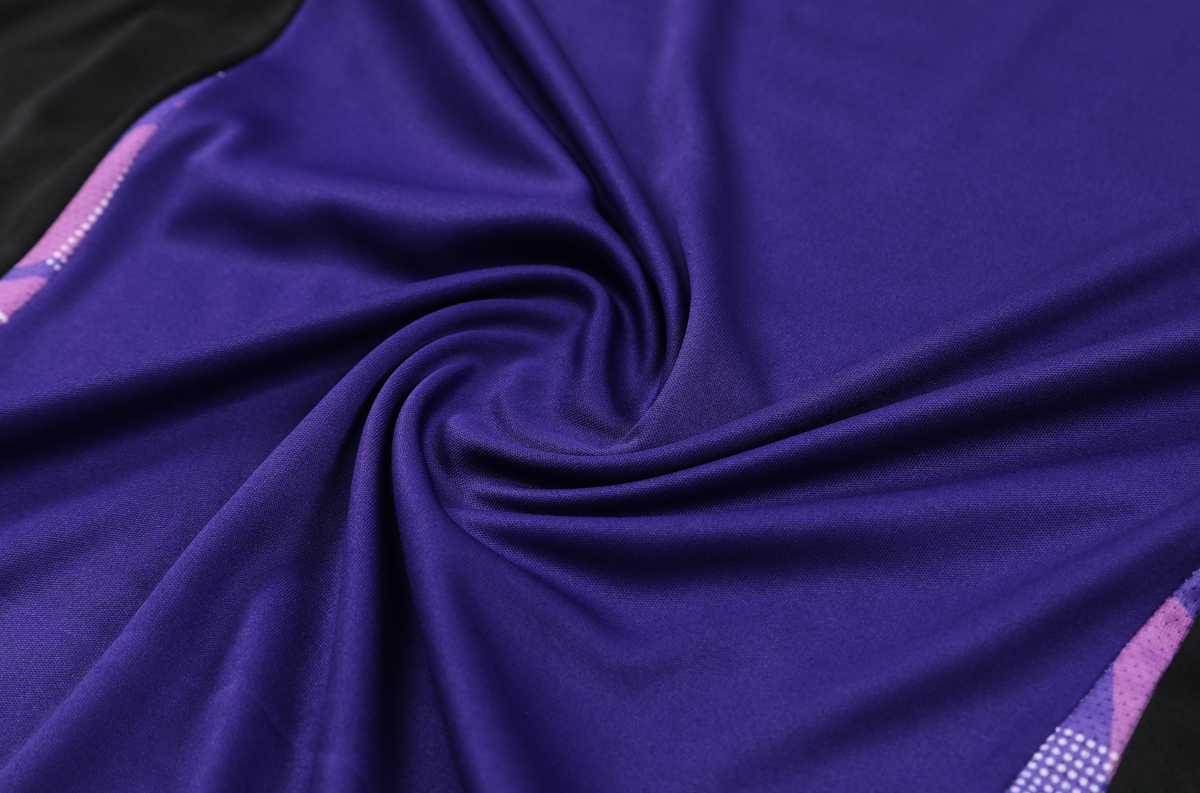 Germany 2024 Men's Purple Training Shirt
