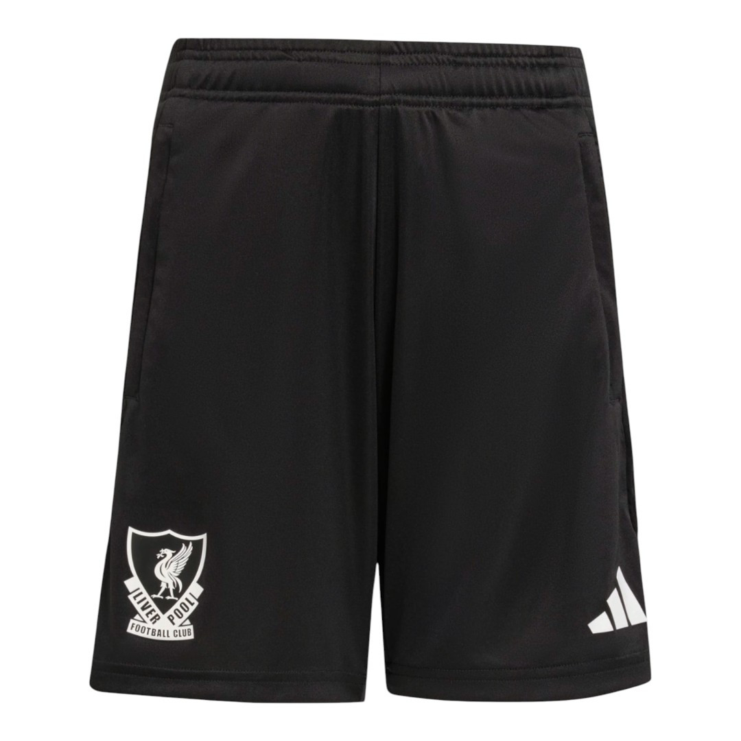 Liverpool 25/26 Men's European Training Shirt