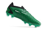 adidas Predator Accuracy.1 Low FG - Green/White