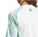 Mexico 2024 Stadium Men's Away Shirt