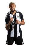 Newcastle United 24/25 Authentic Men's Home Shirt