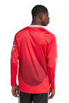 Manchester United 24/25 Men's Home Long Sleeve Shirt