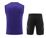 Germany 2024 Men's Purple Training Tank Top