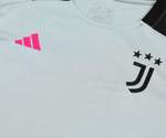Juventus 24/25 Men's Gray Training Shirt