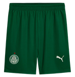 Palmeiras 25/26 Authentic Men's Away Shirt