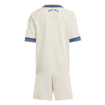 Ajax 25/26 Kid's Third Mini-Kit