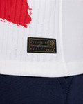 Paris Saint-Germain 25/26 Authentic Men's Away Shirt