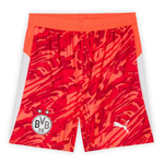 Borussia Dortmund 25/26 Kid's Red Goalkeeper Mini-Kit