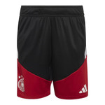 Germany 2026 Men's Red Training Polo