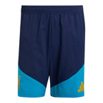 Spain 2026 Men's Blue Training Shirt