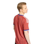 Scotland 2026 Stadium Men's Away Shirt