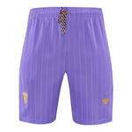 Manchester United 25/26 Men's Purple Terrace Icon Shirt