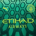 Manchester City 26/27 Men's Green Goalkeeper Shirt