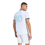MESSI #10 Inter Miami 26/27 Authentic Men's Third Shirt