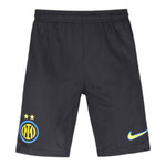 Inter Milan 26/27 Authentic Men's Third Shirt