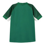 Ireland Rugby 26/27 Stadium Men's Home Shirt