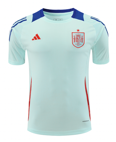 Spain 2024 Men's Light Blue Training Shirt