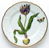 Anna Weatherley Flowers of Yesterday Yellow & Purple Tulip Dinner Plate