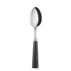 Sabre Paris Icone (a.k.a. Natura) Soup Spoon