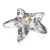 Simon Pearce Starfish Tealight in Gift Box