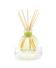 Lemon Verbena Petite Essence Diffuser by Agraria