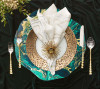 Cosmos Placemat, Set of 4 by Kim Seybert