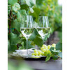 Moser Oeno Wine Glass, 500 ml