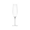 Moser Oeno Champagne Glass, 200 ml