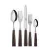 Sabre Paris Icone (a.k.a. Natura) 5-piece Place Setting