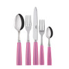 Sabre Paris Icone (a.k.a. Natura) 5-piece Place Setting